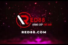 RED88 – Nhà cái cá cược không phải lừa đảo – Hãy khám phá ngay!